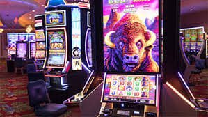 pp gaming hướng dẫn tham gia VIP